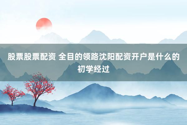 股票股票配资 全目的领路沈阳配资开户是什么的初学经过