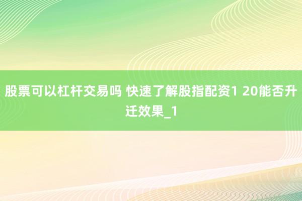 股票可以杠杆交易吗 快速了解股指配资1 20能否升迁效果_1