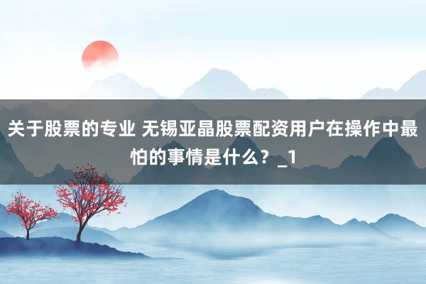 关于股票的专业 无锡亚晶股票配资用户在操作中最怕的事情是什么？_1